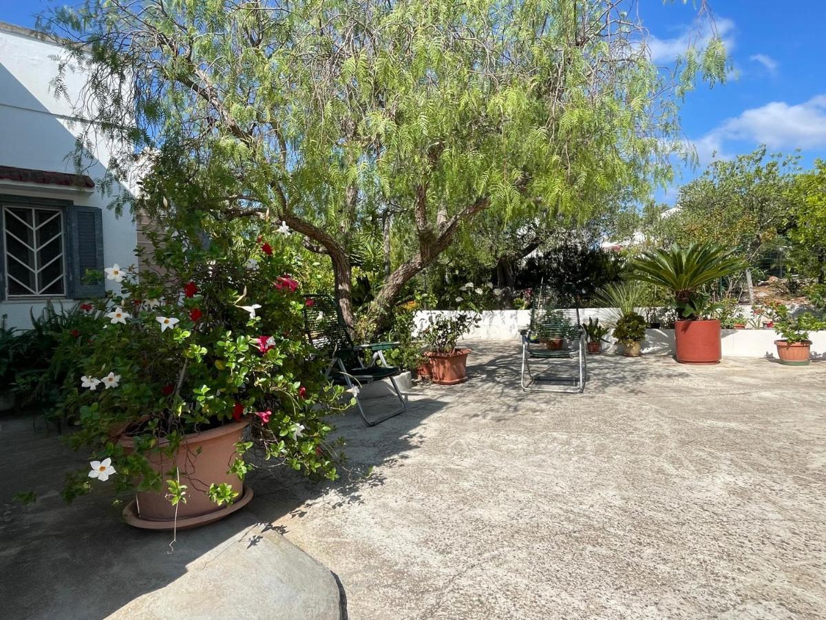 Villa Gioia ออสตูนี ภายนอก รูปภาพ